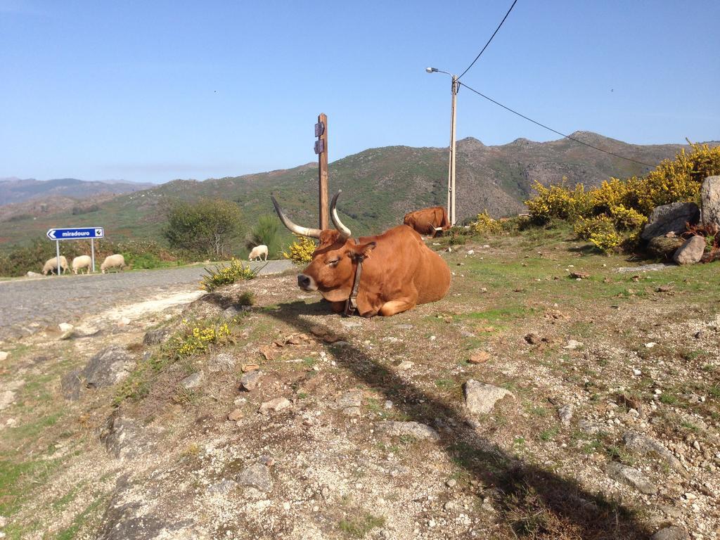 Cantinho Redondo Geres Entre Ambos os Rios Buitenkant foto